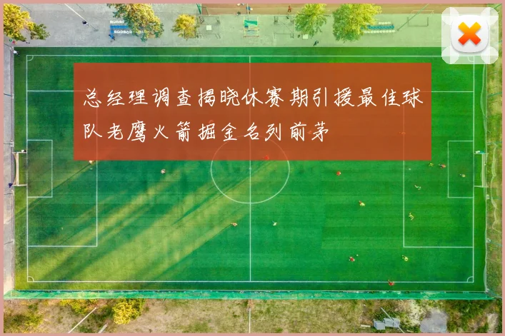 总经理调查揭晓休赛期引援最佳球队老鹰火箭掘金名列前茅