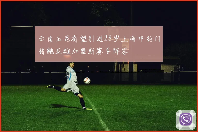 云南玉昆有望引进28岁上海申花门将鲍亚雄加盟新赛季阵容