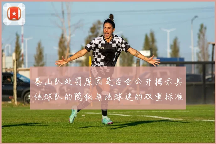 泰山队处罚原因是否会公开揭示其他球队的隐秘与地球迷的双重标准