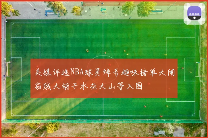 美媒评选NBA球员绰号趣味榜单大闸窃贼大胡子水花大山等入围